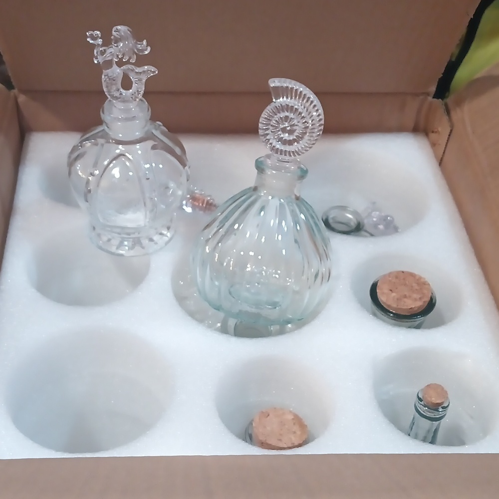 Set of 2 Clear Glass Decorative Bottles Or Bud Vase